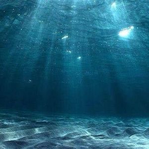 Meet your Posher, Edgar